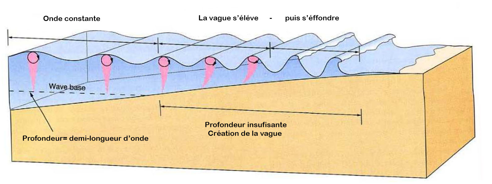 Schéma formation des vagues — houle et déferlement